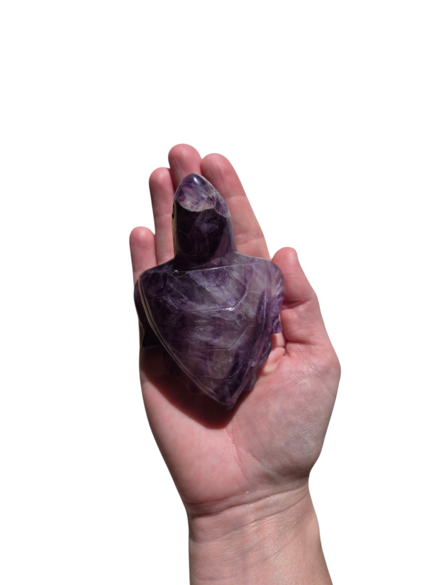 Fluorite Turtle (Purple)