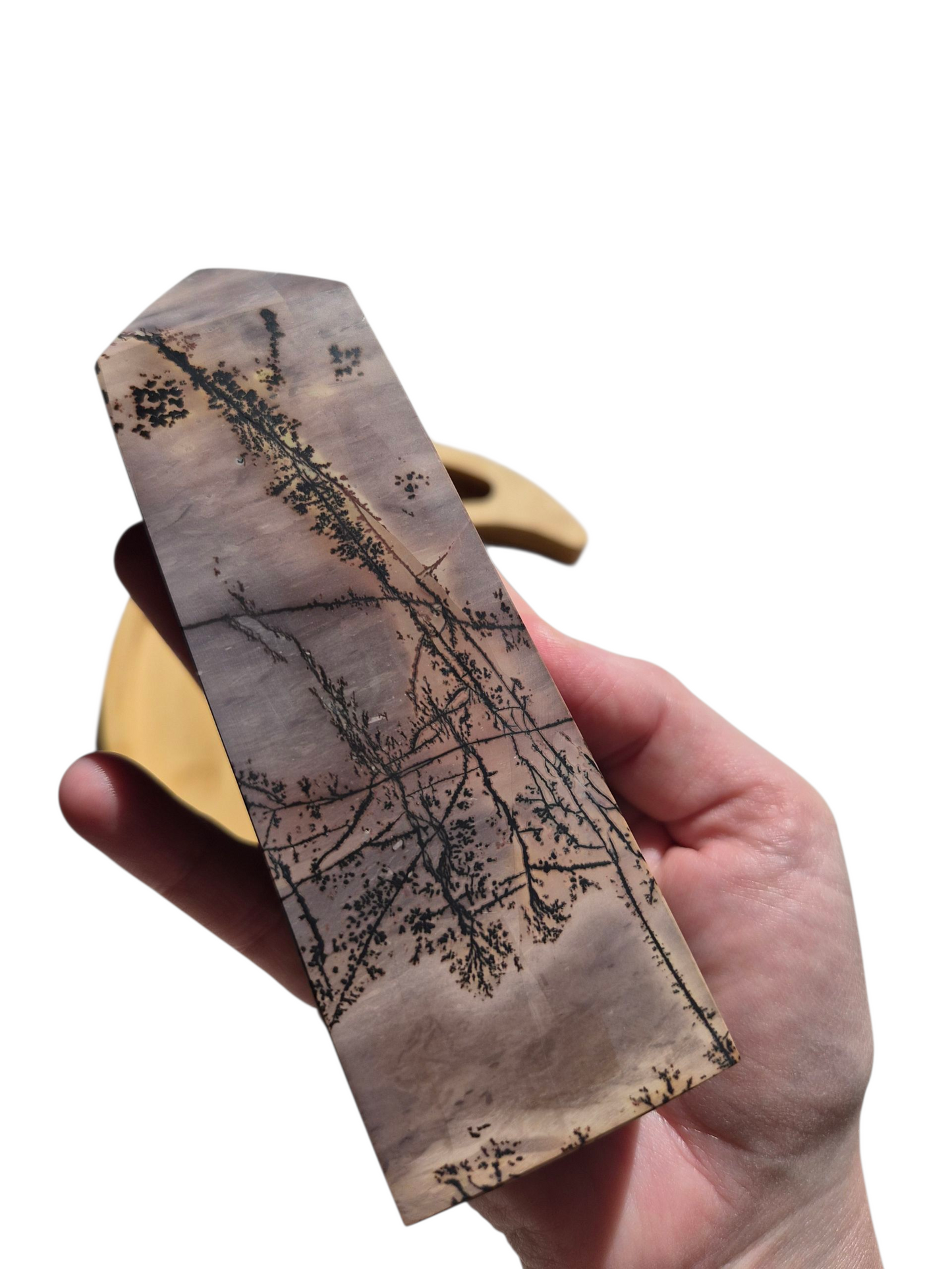 Chinese Picture Stone 467g