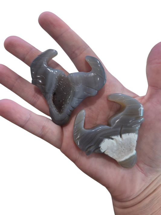 Agate Bull Head Caving 36