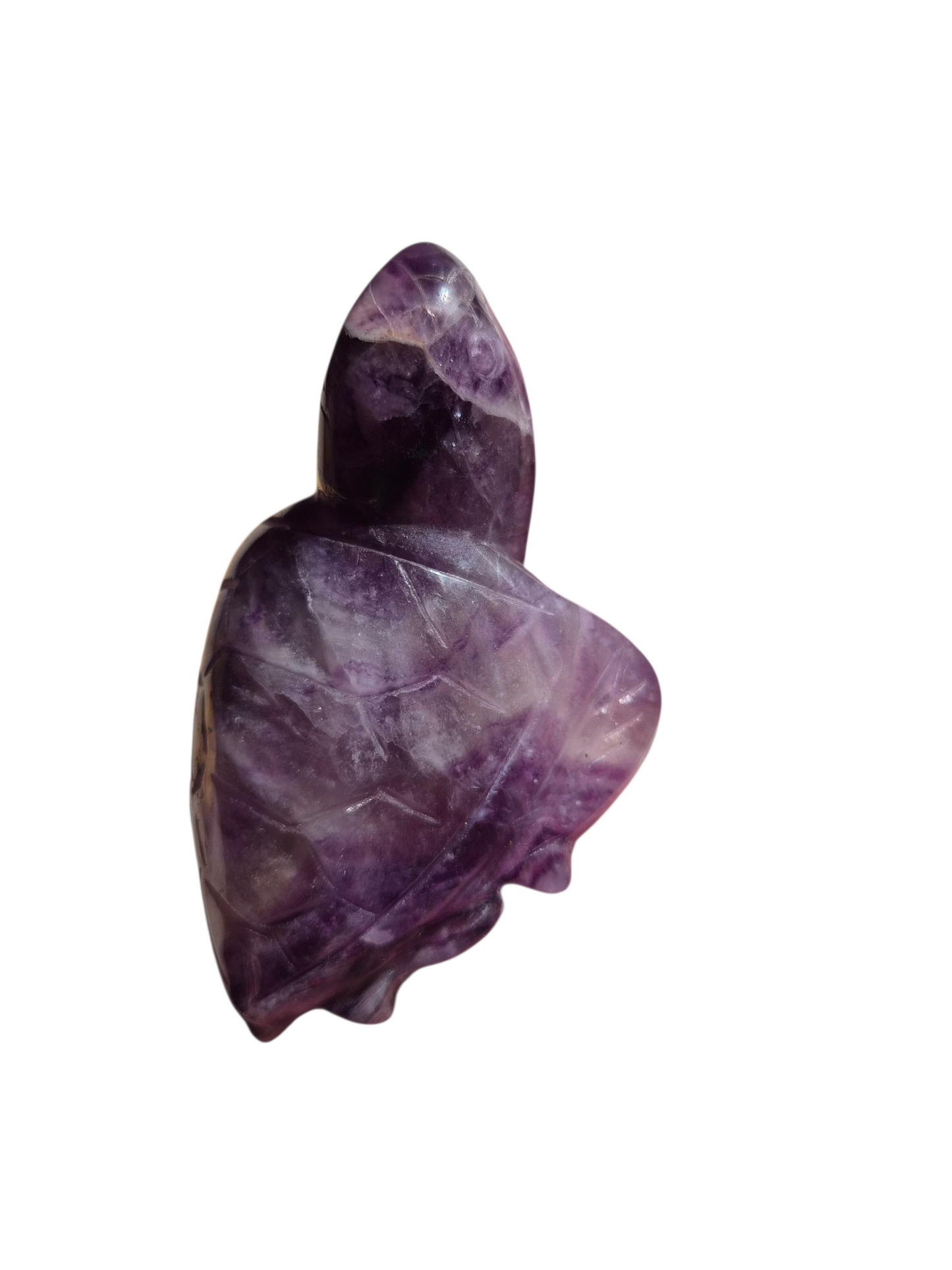 Fluorite Turtle (Purple)
