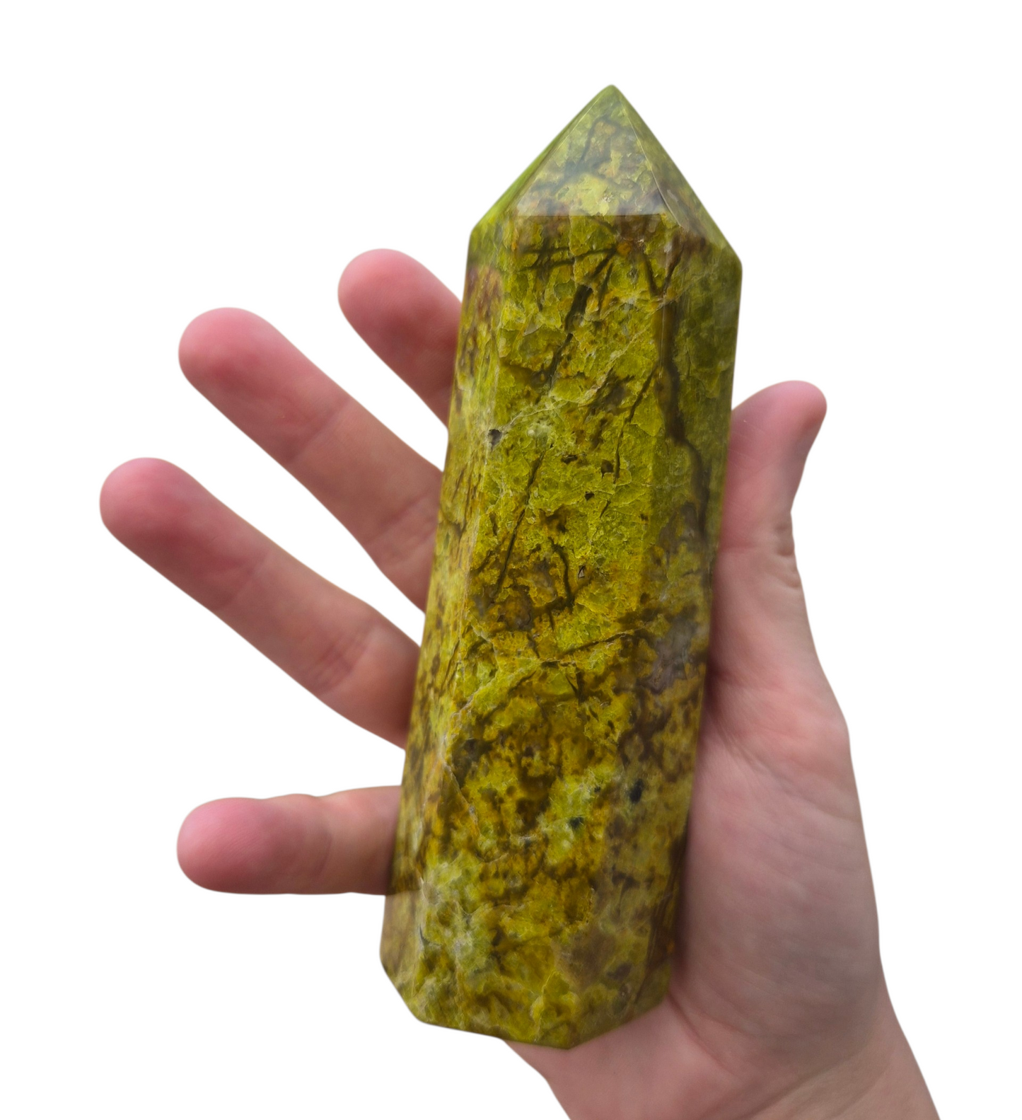 Green Opal Tower #B 280
