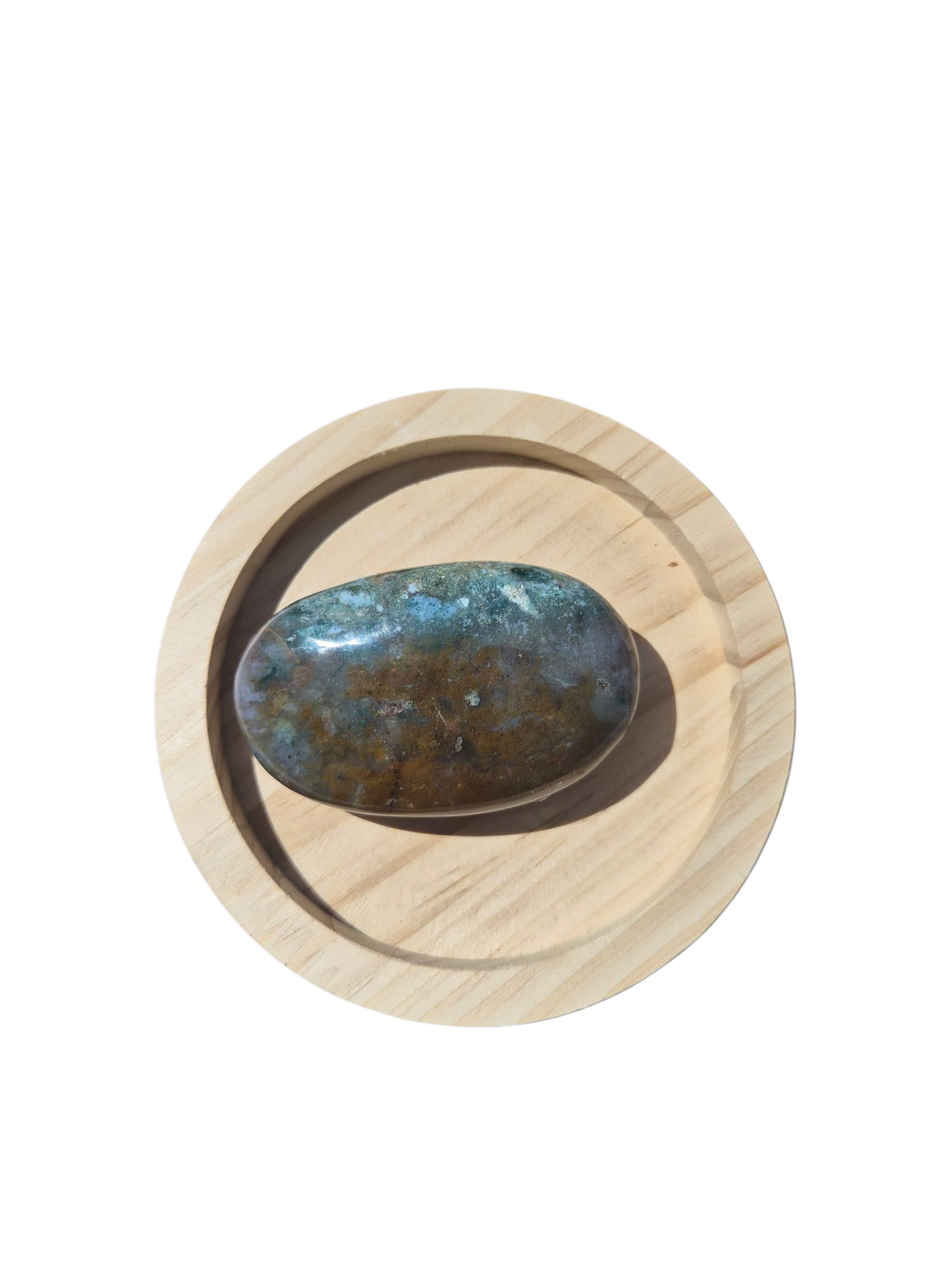 Ocean Jasper Palmstone