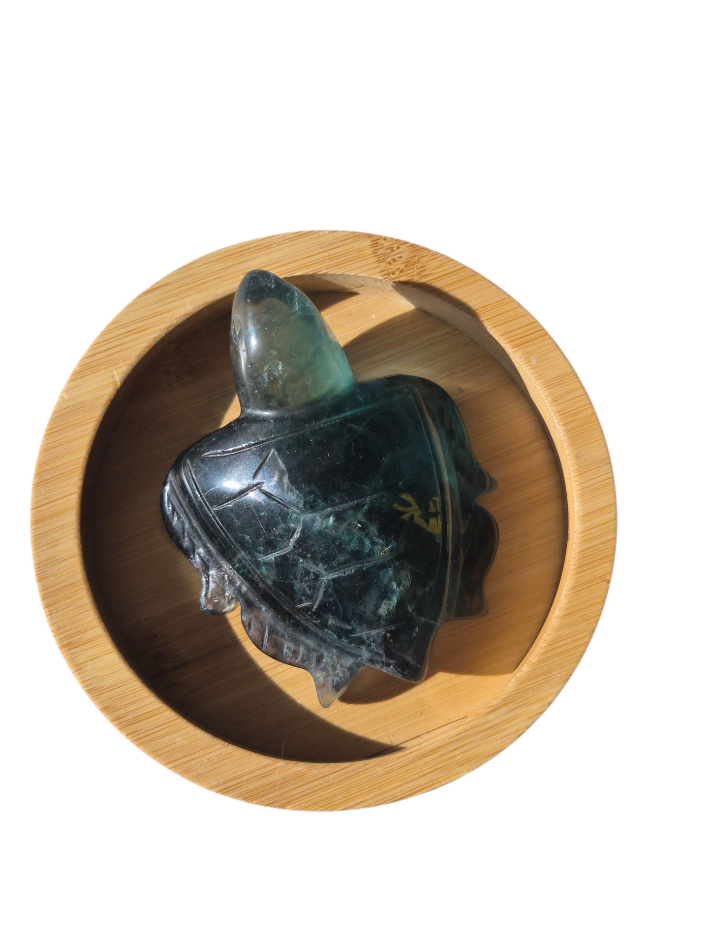 Fluorite Turtle (Green)