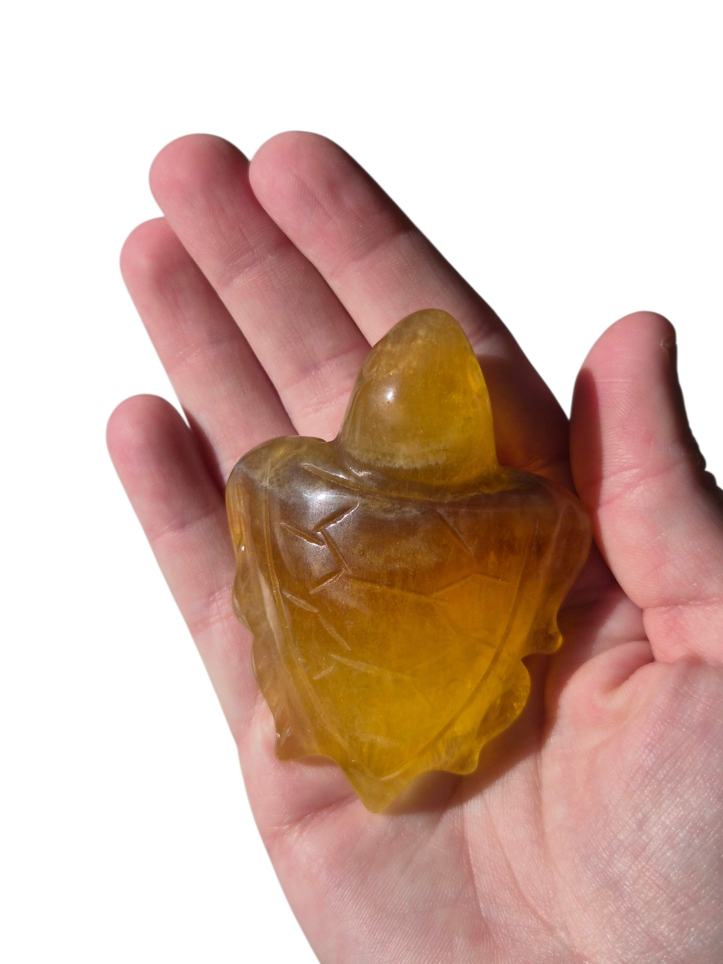 Fluorite Trutle (Yellow)