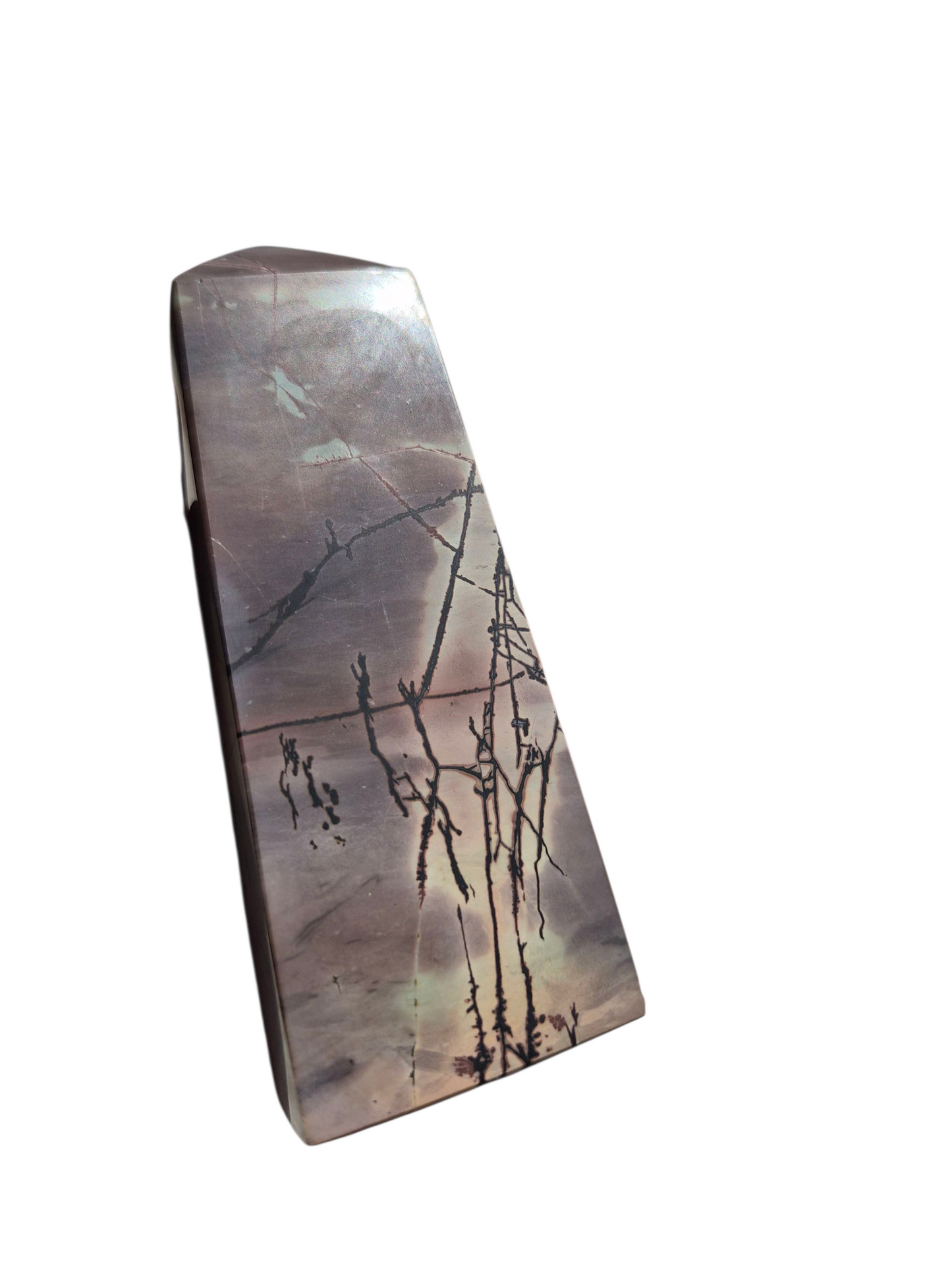 Chinese Picture Stone 467g