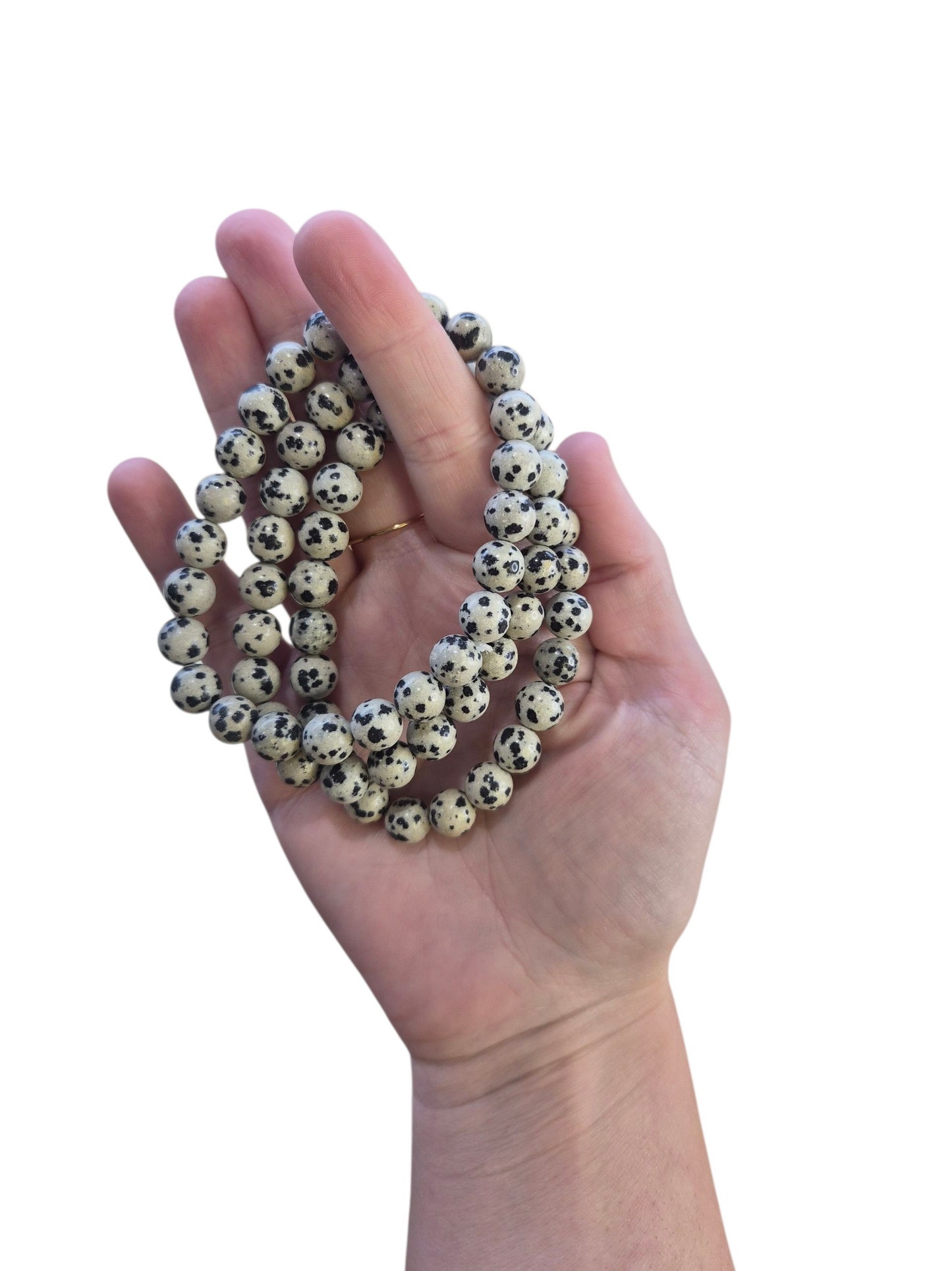 Dalmatian Jasper Bracelet