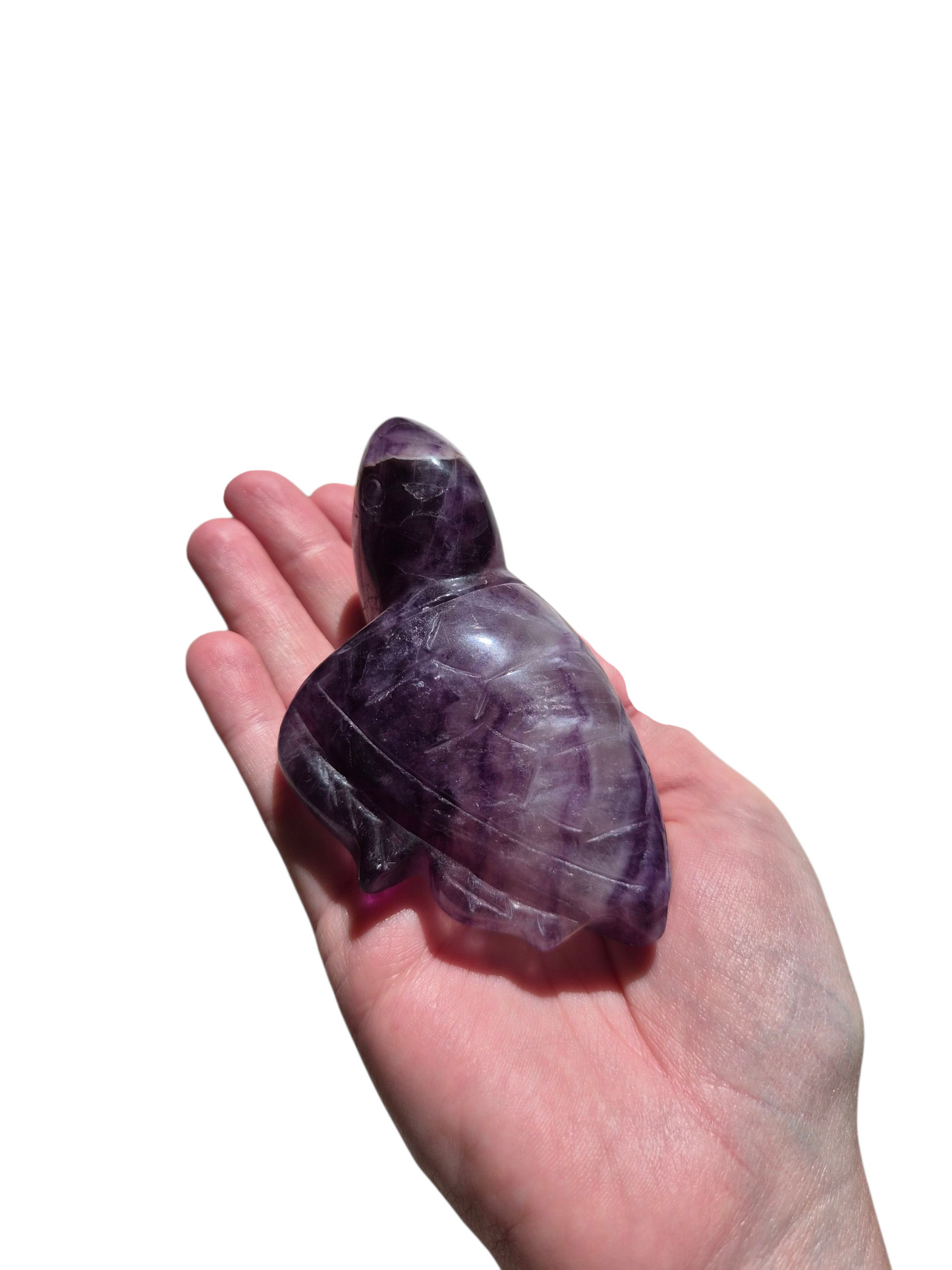 Fluorite Turtle (Purple)