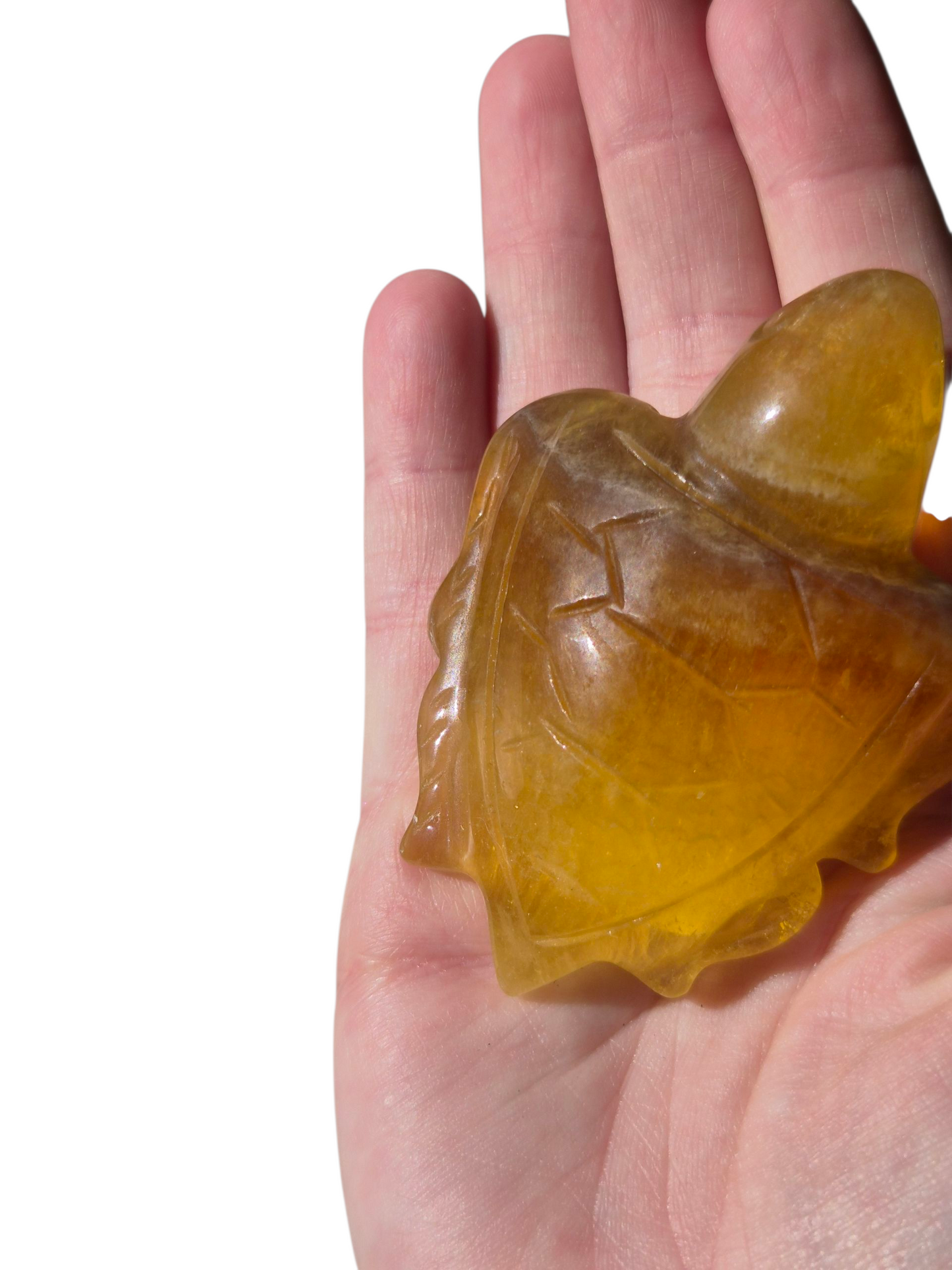 Fluorite Trutle (Yellow)