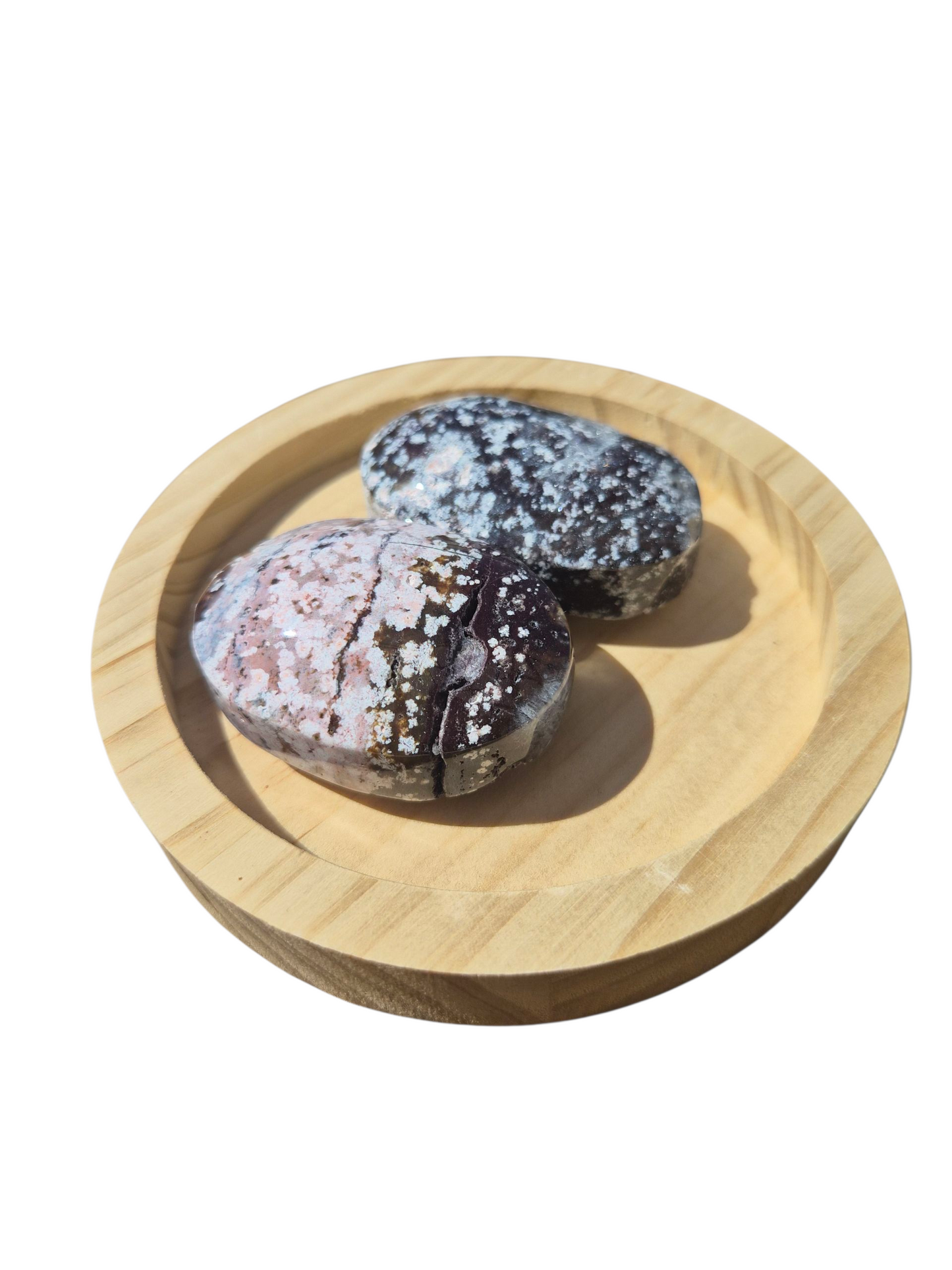 Ocean Jasper Palmstone