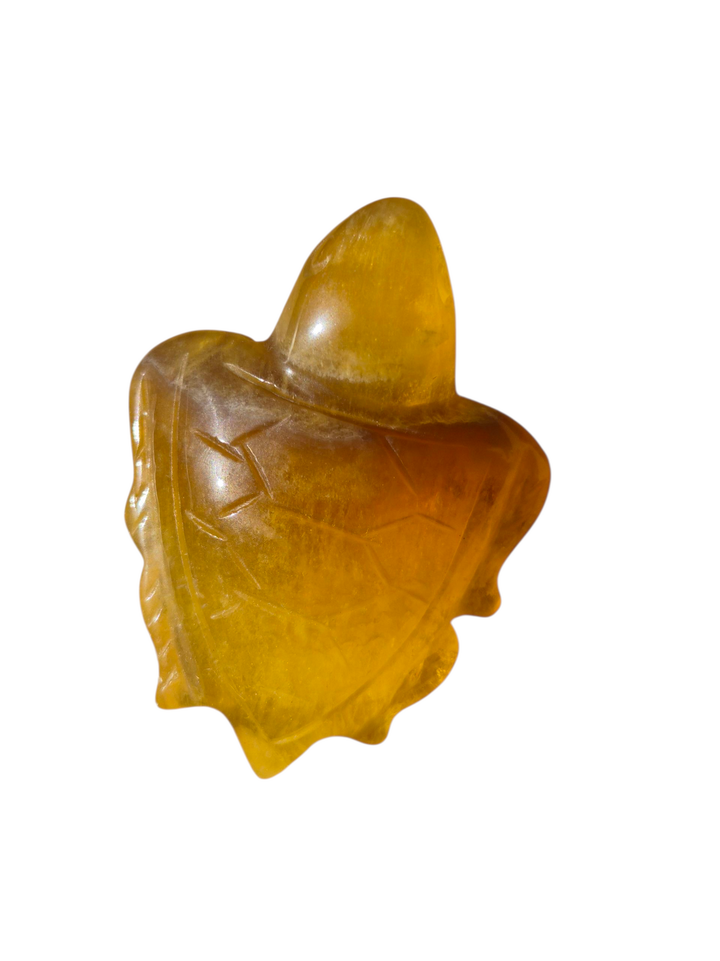 Fluorite Trutle (Yellow)