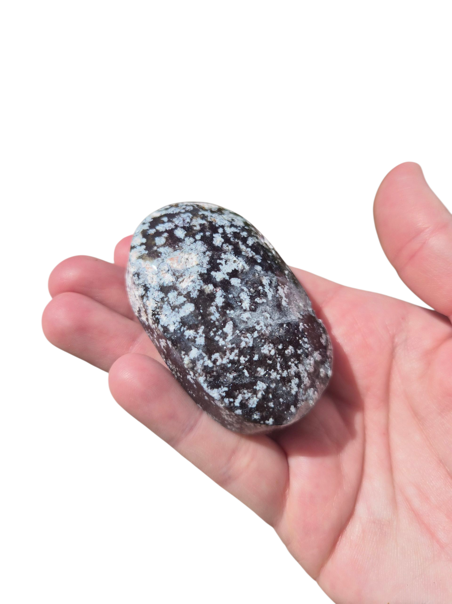 Ocean Jasper Palmstone