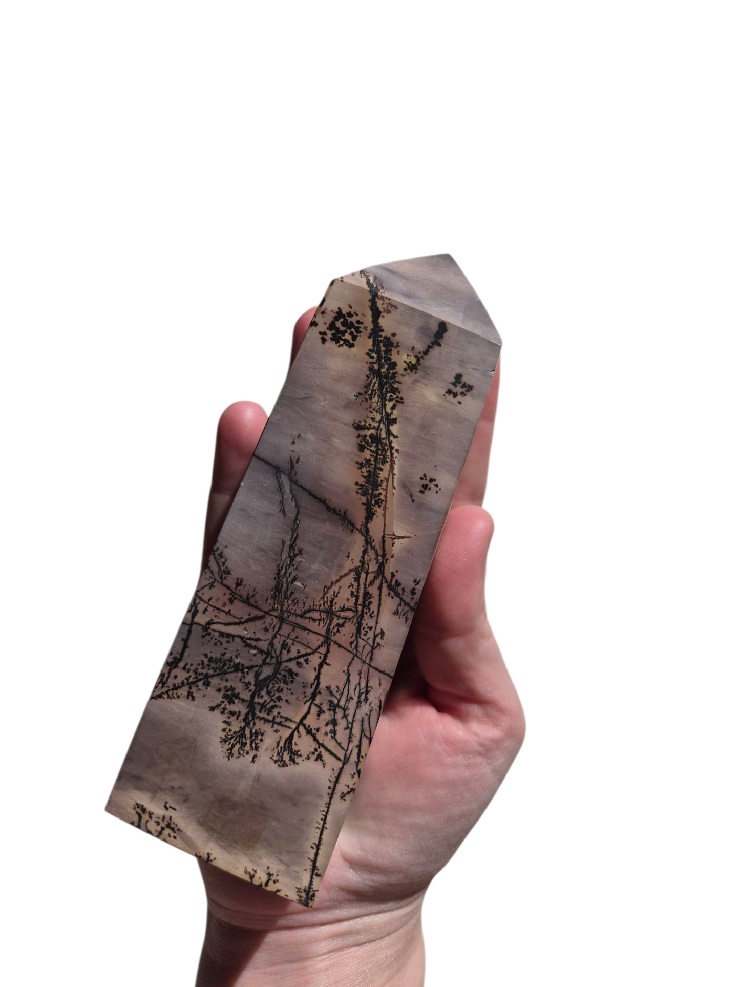 Chinese Picture Stone 467g