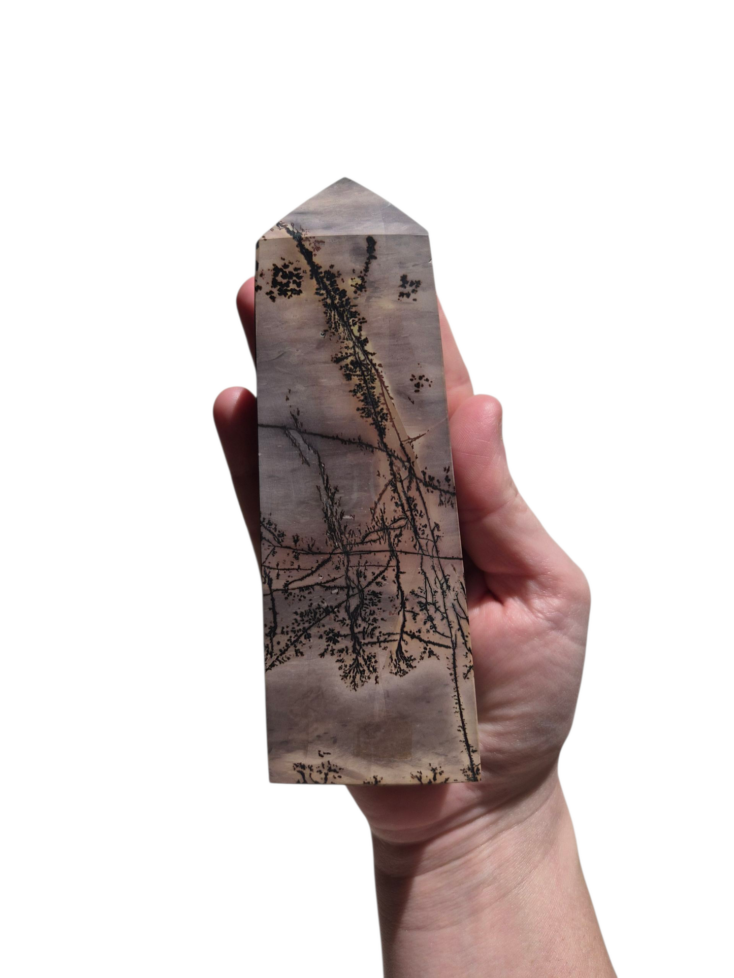 Chinese Picture Stone 467g