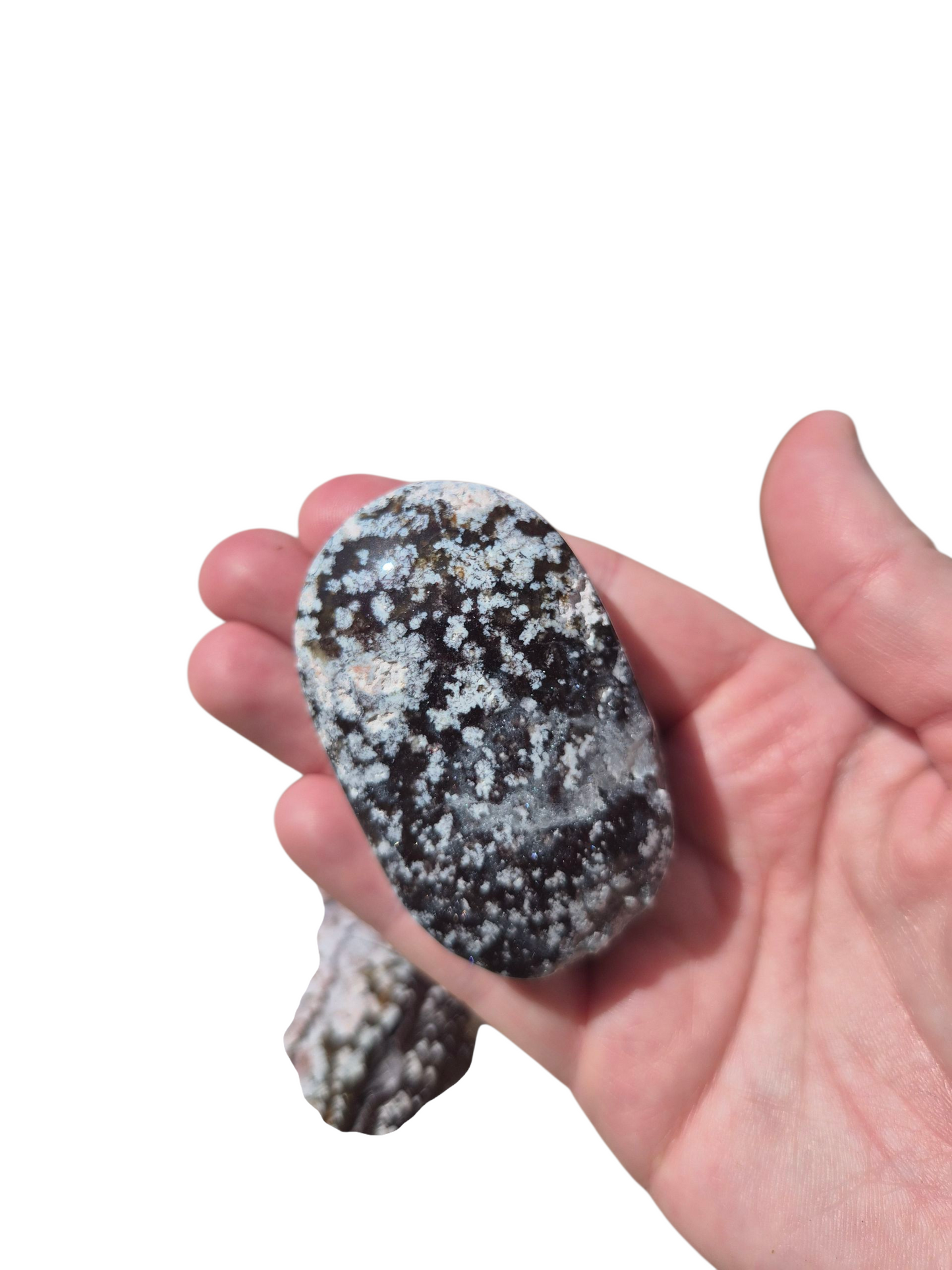 Ocean Jasper Palmstone