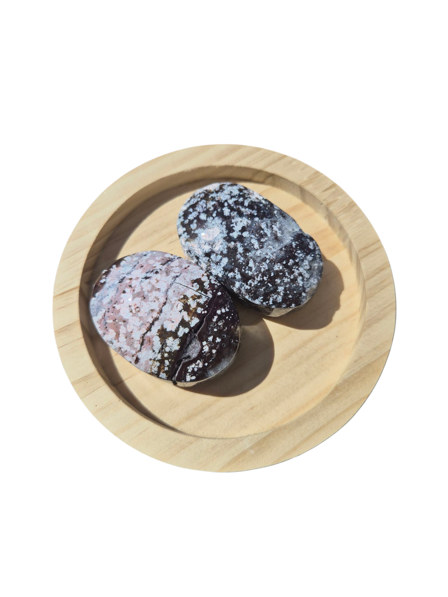 Ocean Jasper Palmstone