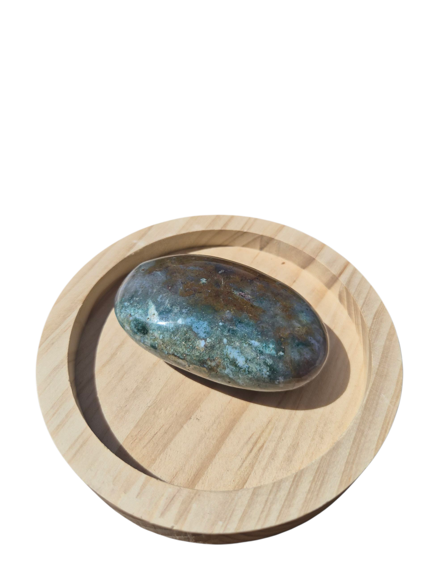 Ocean Jasper Palmstone
