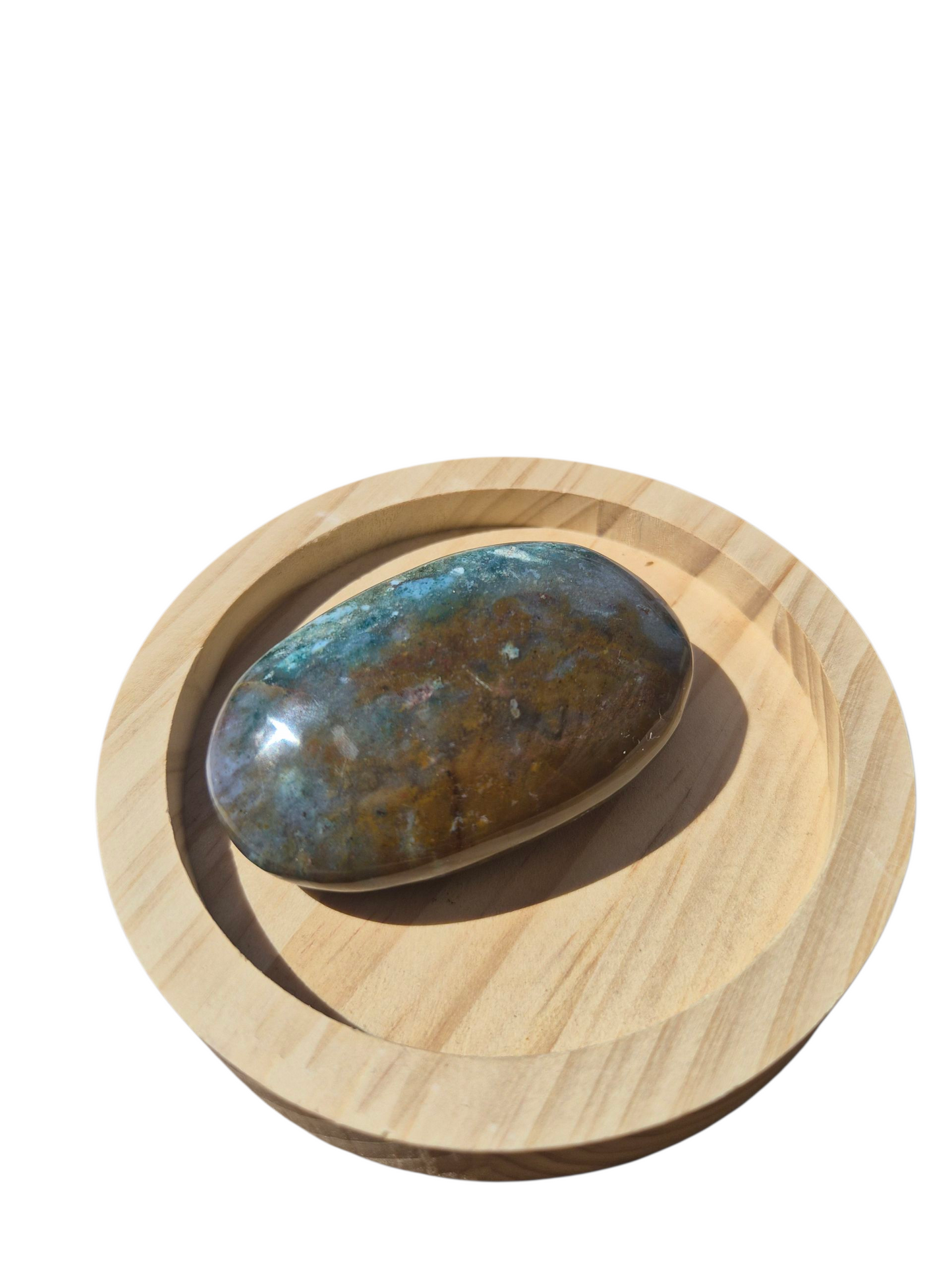 Ocean Jasper Palmstone